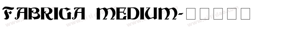 FABRIGA MEDIUM字体转换